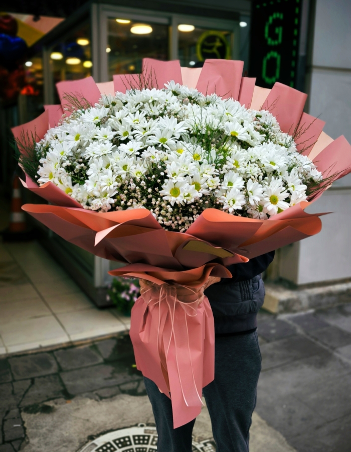 Beyaz Kasımpatı Büyük Boy