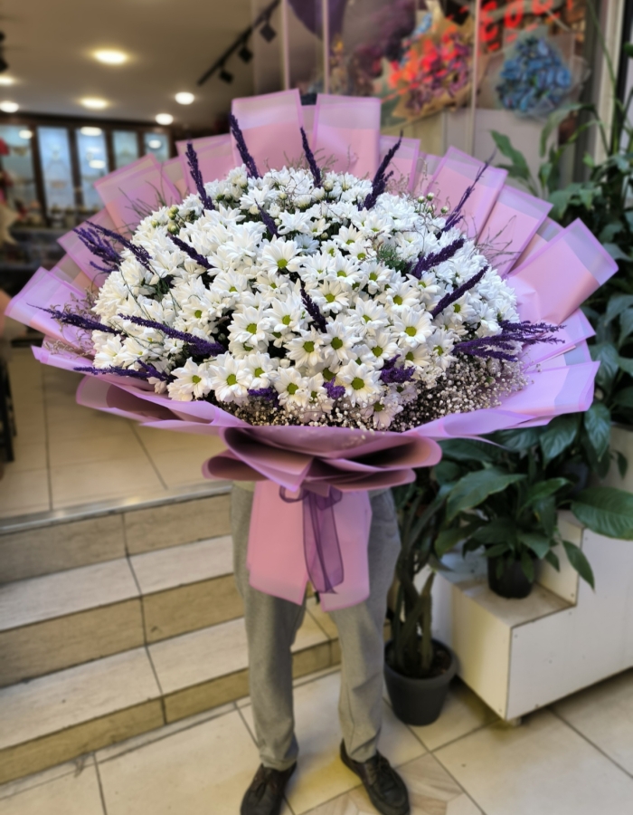 Kasımpatı Buketi Dev Boy