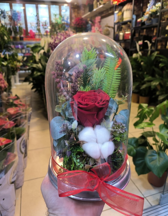 Cam Fanusta Solmayan Gül Canlı