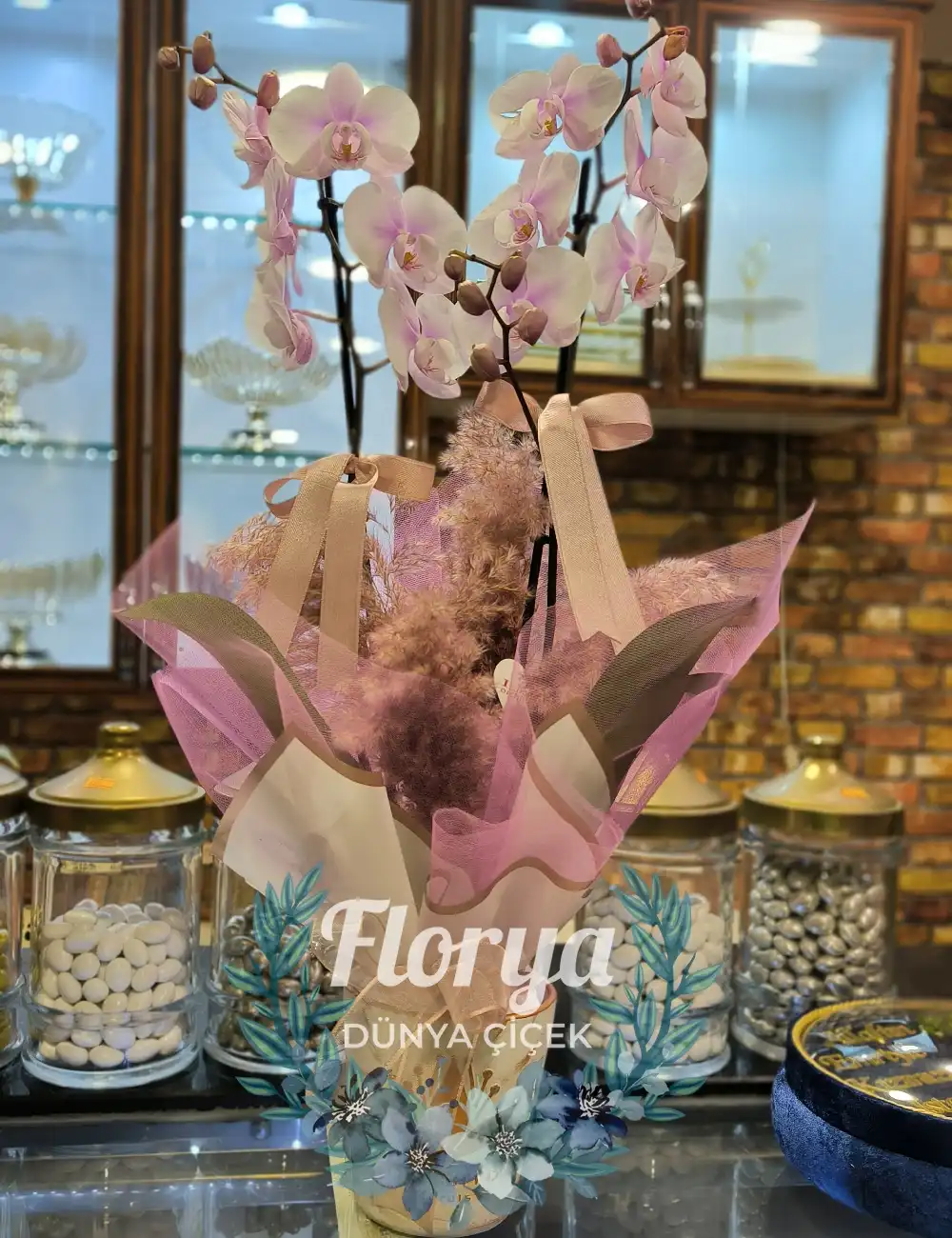 Çift Dal Orkide İthal Jumbo